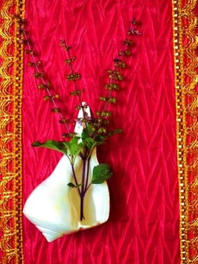 अक्षय तृतीया पर करें तुलसी से जुड़ा ये शुभ कार्य, लक्ष्मी माता की बरसेगी कृपा ही कृपा