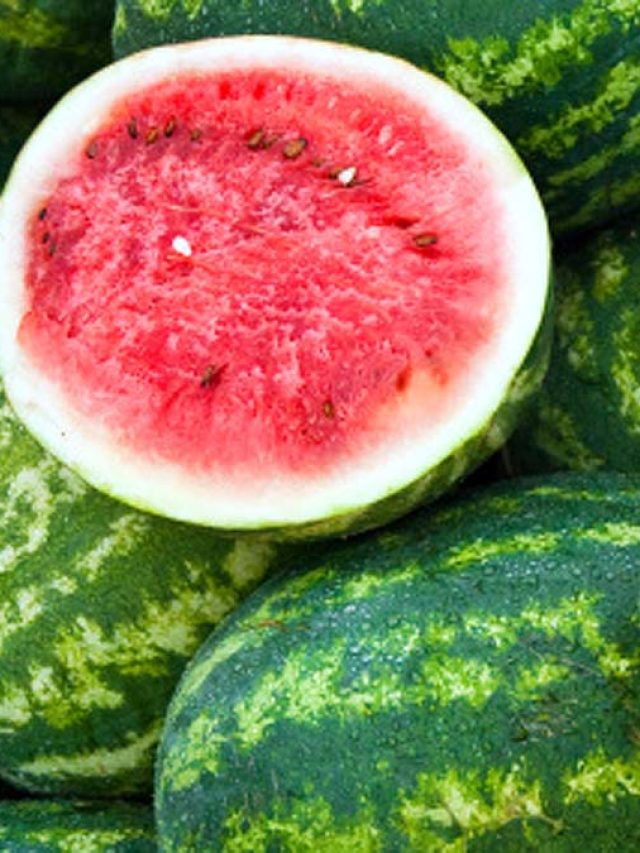 कहीं आप तो नहीं खा रहे हैं इंजेक्शन वाला तरबूज? ऐसे पहचानें