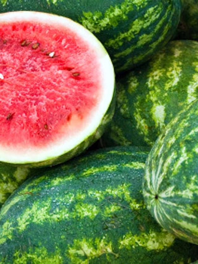 तपती गर्मी में लू से बचाएंगे ये 4 फल, आज ही डाइट में कर लें शामिल