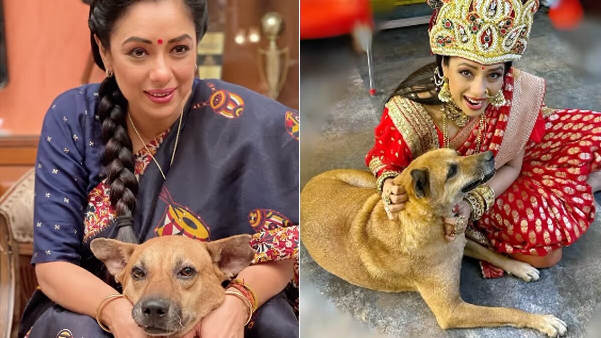 रुपाली गांगुली को कुत्ते ने काटा? खबर सुनते ही भड़कीं एक्ट्रेस, खुद बताया सच