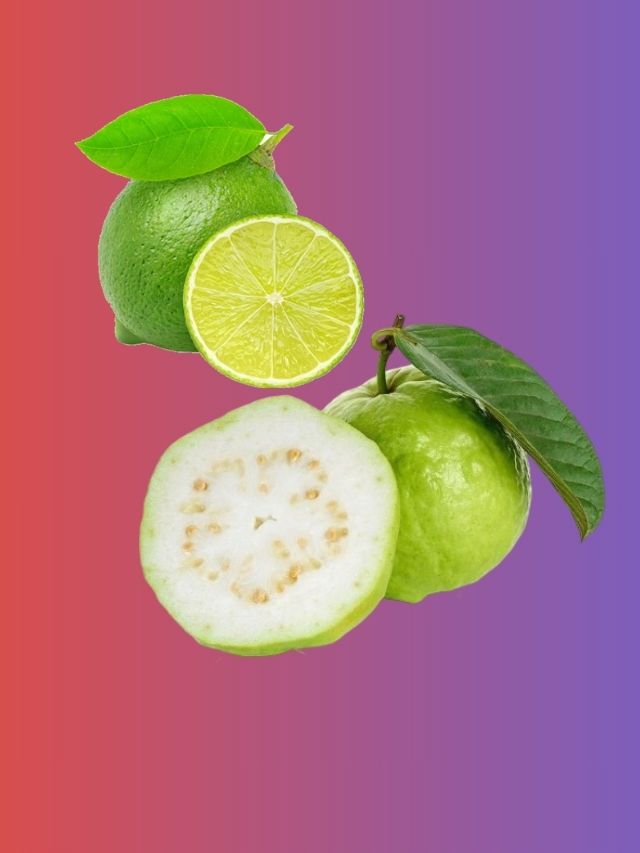 পেয়ারা না লেবু, কোনটায় বেশি উপকার? চমকে উঠবেন