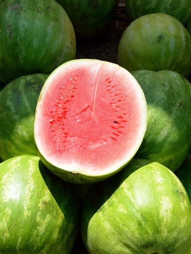 তরমুজ মিষ্টি হবেই,  কেনার আগে চিনে নিন এই ভাবে