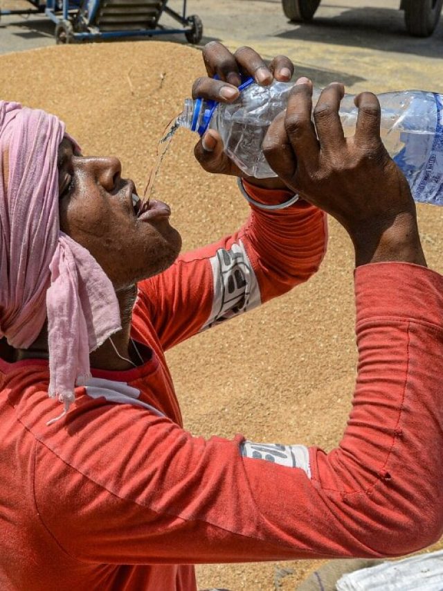 তীব্র গরমে সারাদিন মহিলা ও পুরুষদের কতটা জল খেতে হবে? শরীর সুস্থ রাখতে জানুন