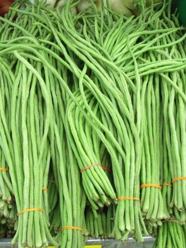 বরবটি তো খান, এর ইংরাজি বলুন দেখি!