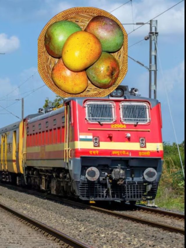 এই আমের নামে ভারতে একটা এক্সপ্রেস ট্রেন চলে, নামটা জানেন?