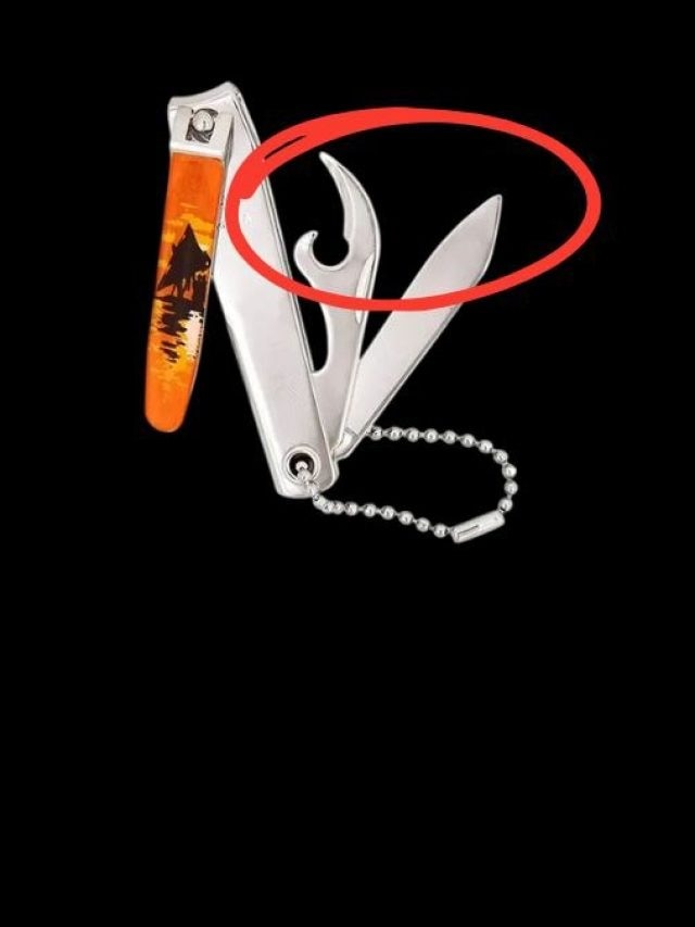 নখ কাটার মেশিনের এই ২টো ছুরির কী কাজ? অনেকেই জানে না