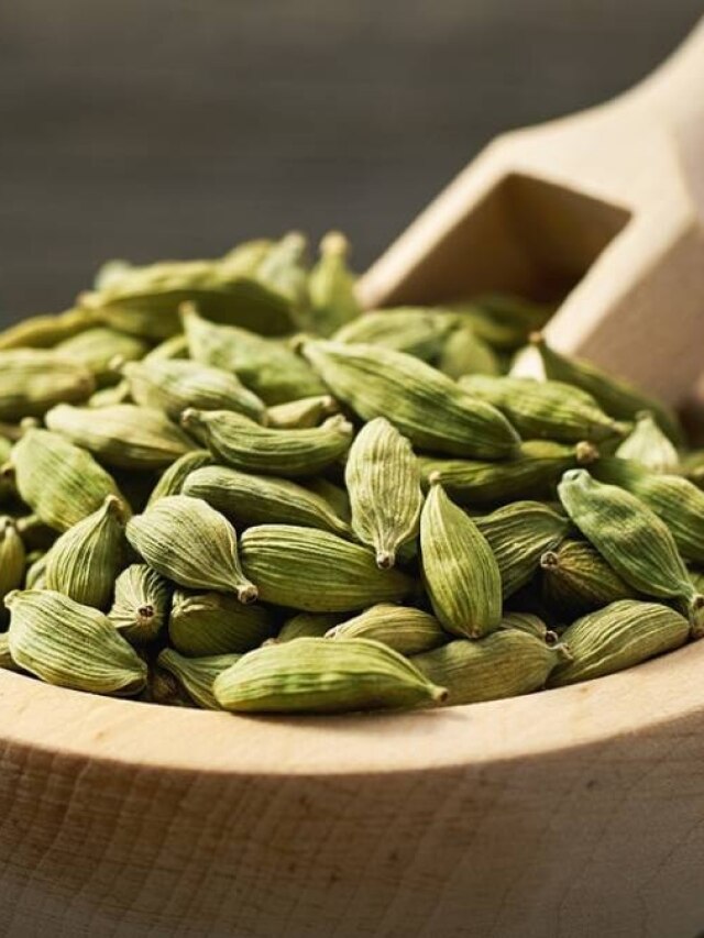 घर पर उगाएं खुशबूदार इलायची, जानें गमले में लगाने की आसान विधि