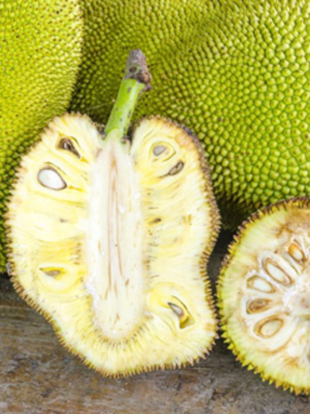 এঁচোড় মুখে তুললেই সর্বনাশ, কারা খাবেন না? জেনে রাখুন