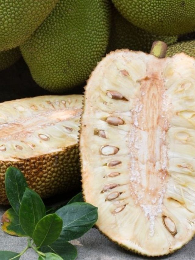 এই শারীরিক সমস্যা থাকলে ভুলেও এঁচোড়  খাবেন না, হতে পারে বিপদ