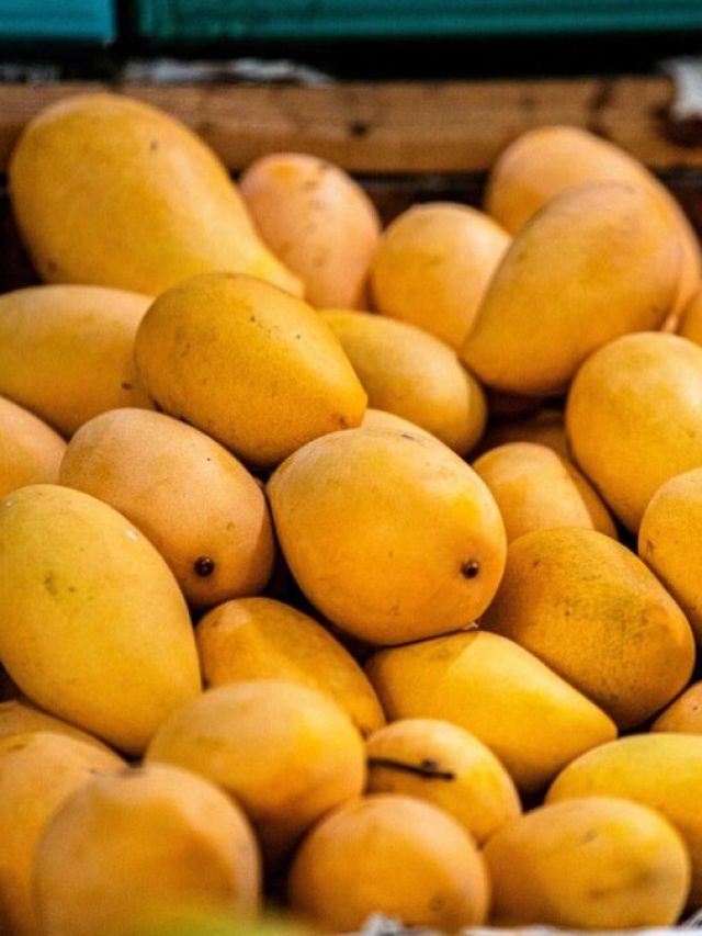 না কেটে-খেয়ে বুঝবেন মিষ্টি, গাছপাকা আম চিনুন ফল বিক্রেতার টিপসে