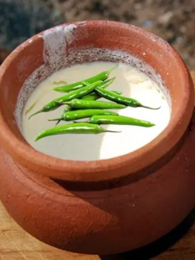 লঙ্কা দিয়েই দোকানের মতো চাপ চাপ টক দই পাতুন বাড়িতেই