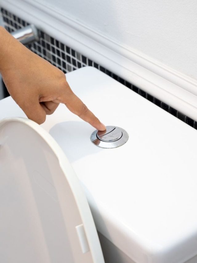 কমোডের ফ্লাশে থাকে ২টি স্যুইচ, কোনটার কাজ কী জানেন?