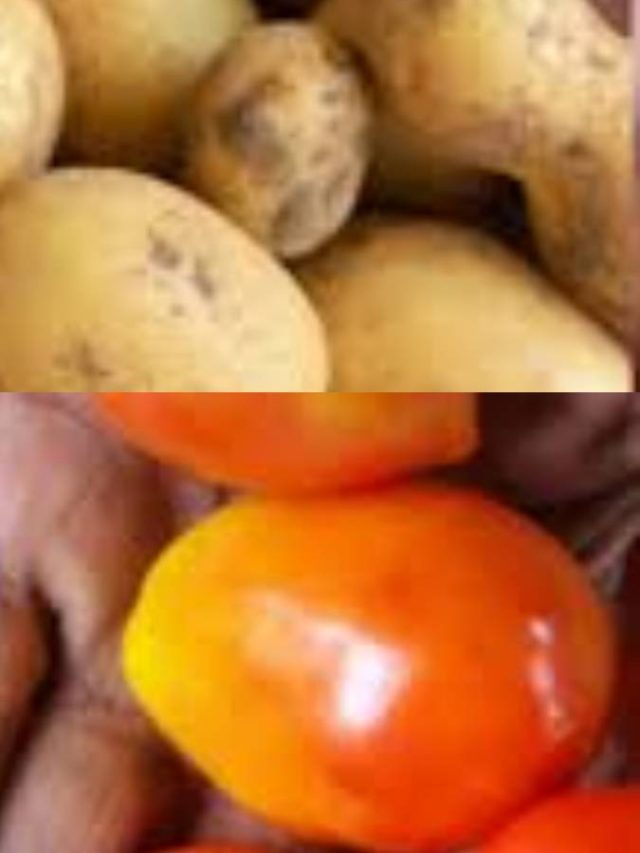 টমেটো ও আলুর এই অংশ খেলেই বাড়বে বিপদ, জেনে নিন