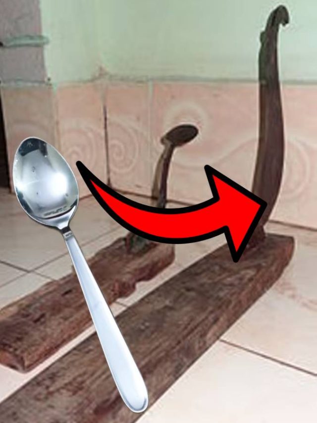 জং ধরা বটি এভাবে হবে ককঝকে, ধারাল শুধু একটা চামচেই হবে