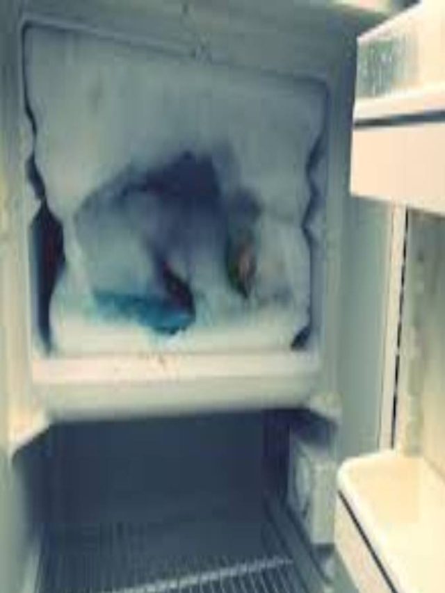 ডিপ ফ্রিজ ভরেছে বরফে? এভাবে পরিস্কার করলেই ভাল থাকে