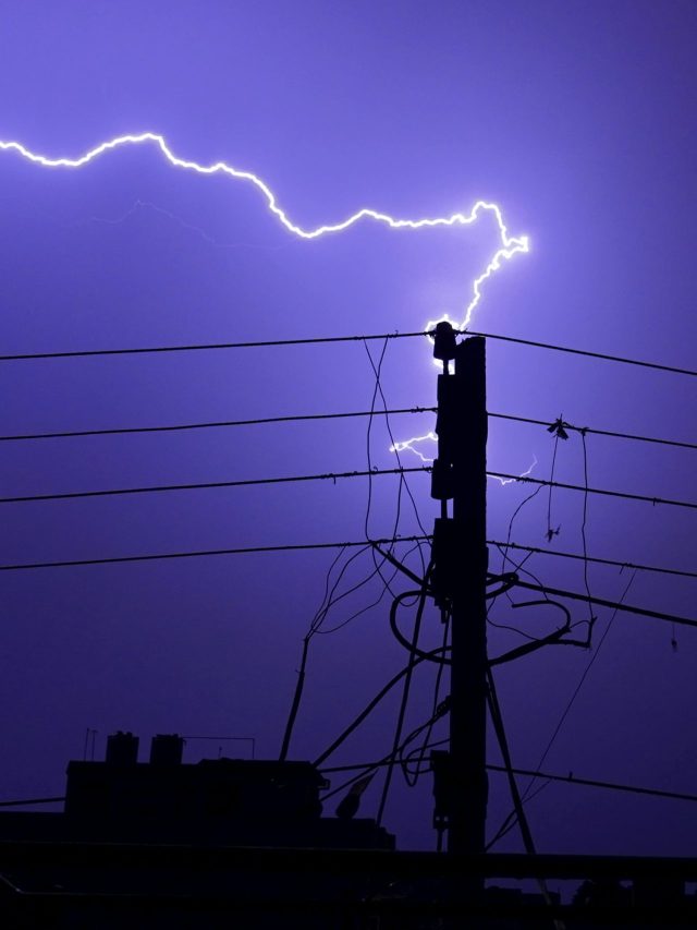 বাজ পড়ার ঝুঁকি বাড়ায় এই দেশি গাছ, বাড়িতে আছে নাকি? কী হয় জানুন