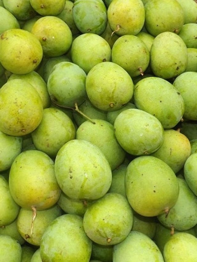 সস্তায় গাছপাকা হিমসাগর আম কিনবেন? কলকাতার কাছেই এই বাজারে পাবেন