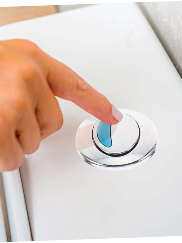 কমোডের ফ্ল্যাশে কেন ২টো বোতাম থাকে? কোনটার কী কাজ জানুন?