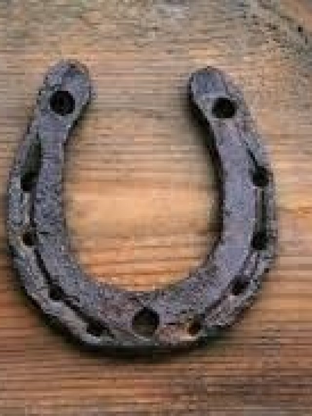 ঘোড়ার নাল ঝুলিয়ে দিন ঘরের দরজায়, ব্যস, রাতারাতি জীবন বদল