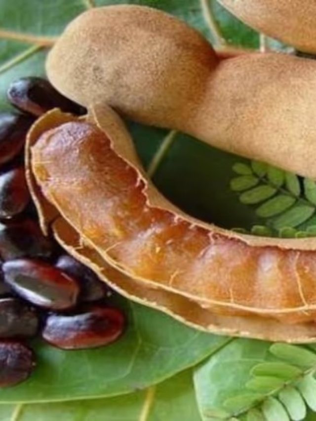 পাকা চুল কালো হবে ১টা তেঁতুলেই, রইল ঘরোয়া ট্রিকস