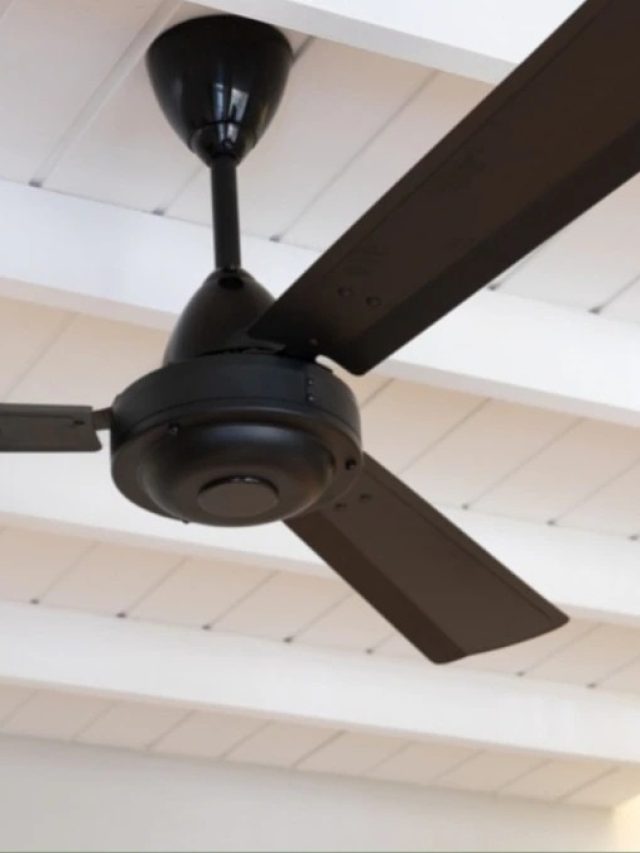 সিলিং ফ্যান বনবন করে ঘুরবে, শুধু এই ট্রিকস মাথায় রেখে দিন