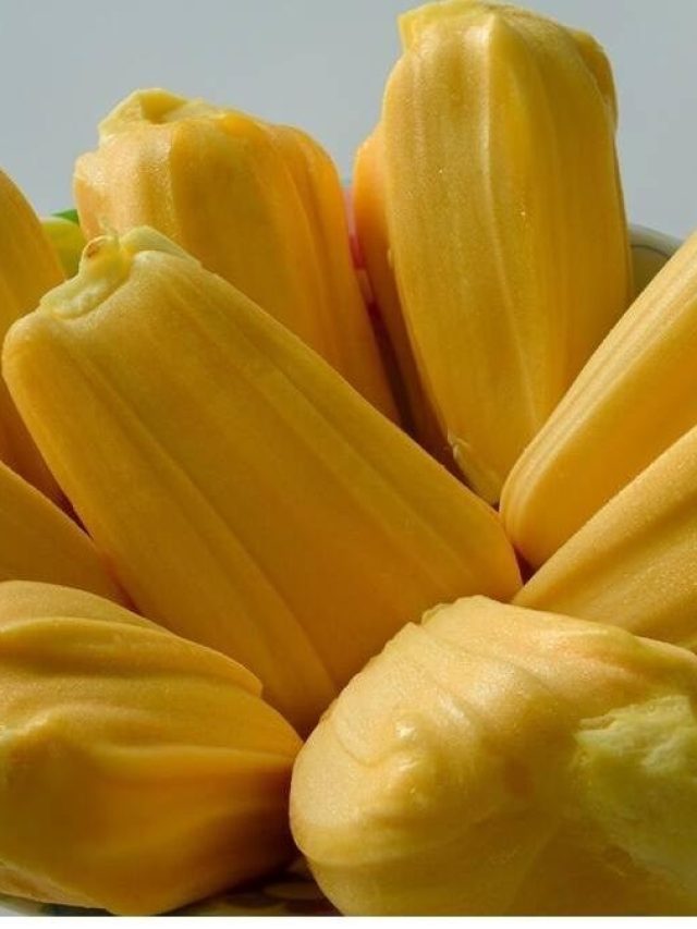 গরমে কাঁঠাল খেলে এসব হবেই, জেনে রাখুন