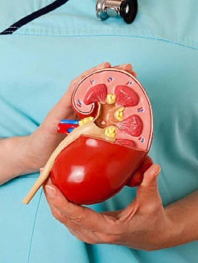 কিডনি বিকল হচ্ছে, এই লক্ষণ দেখলেই সতর্ক হয়ে যান