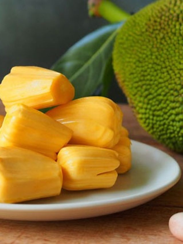 গরমে টনিক পাকা কাঁঠাল, কীভাবে খেলে উপকার, ভুল করলে ক্ষতি