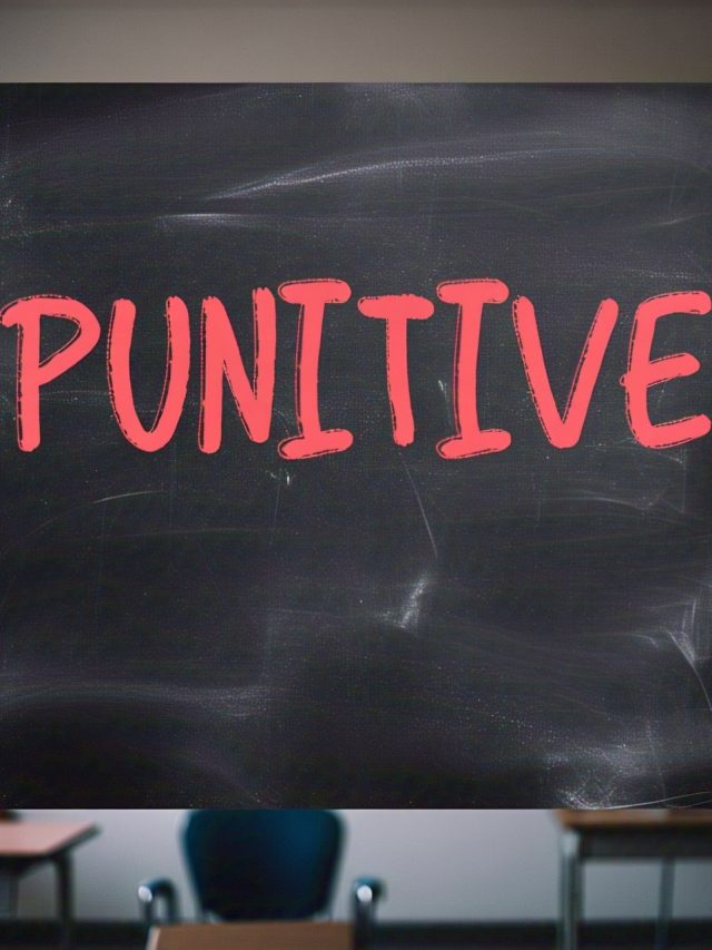 आर्मी की प्रेस कॉन्फ्रेंस के बाद लोग क्यों सर्च कर लगे Punitive, क्या है इसका मतलब