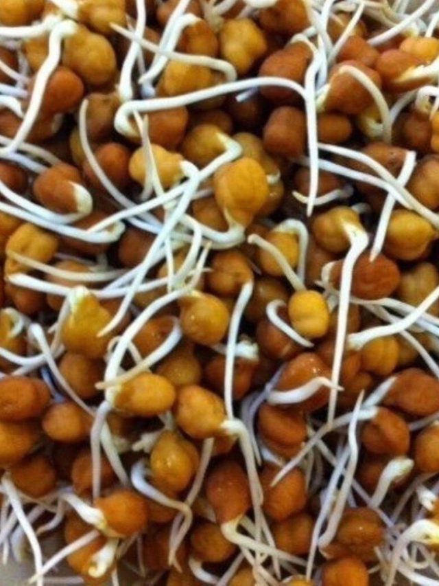 এক রাত এভাবে ভেজালেই বেরোবে ছোলার স্প্রাউট, রইল টিপস