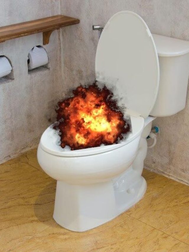 এসব কারণে টয়লেটের কমোডও ব্লাস্ট করতে পারে, না জানলেই মরবেন