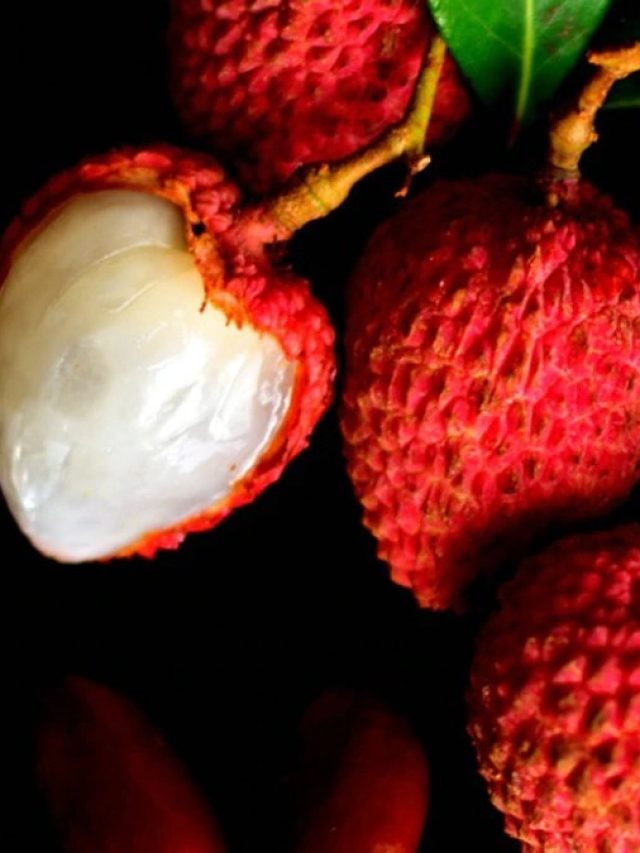 গরমে লিচু খেলে  শরীরে এসব হয়, মাথায় রাখুন