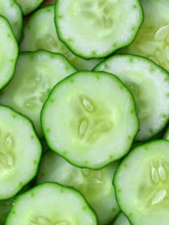 কাঁচা শসা ভাতের সঙ্গে চিবোলে এসব হয়, জানা জরুরি