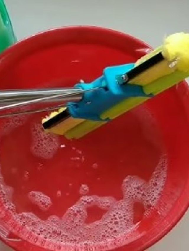 ছেঁড়া পুরনো জামা কাপড় দিয়ে ঘর মোছা শুভ না অশুভ, কী ঘটে