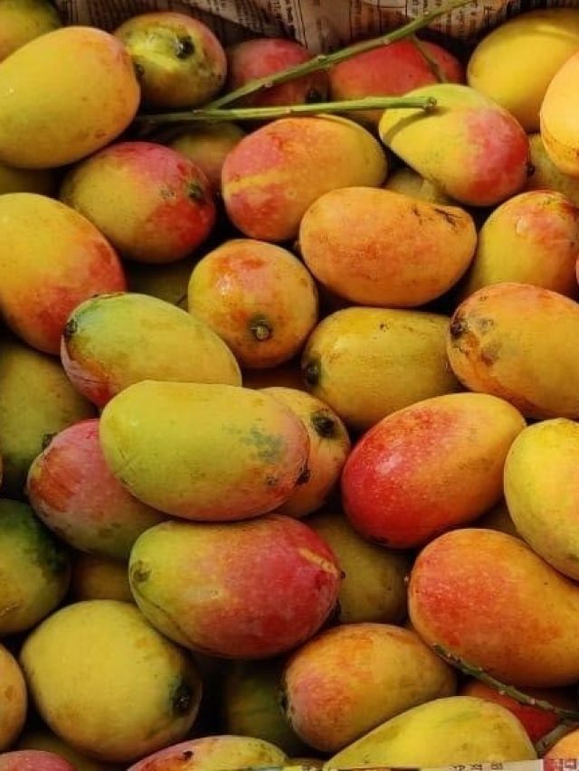 আমে কি কেমিক্যাল মেশানো? কেনার  সময় এসব লক্ষণেই বুঝে যান, ট্রিকস