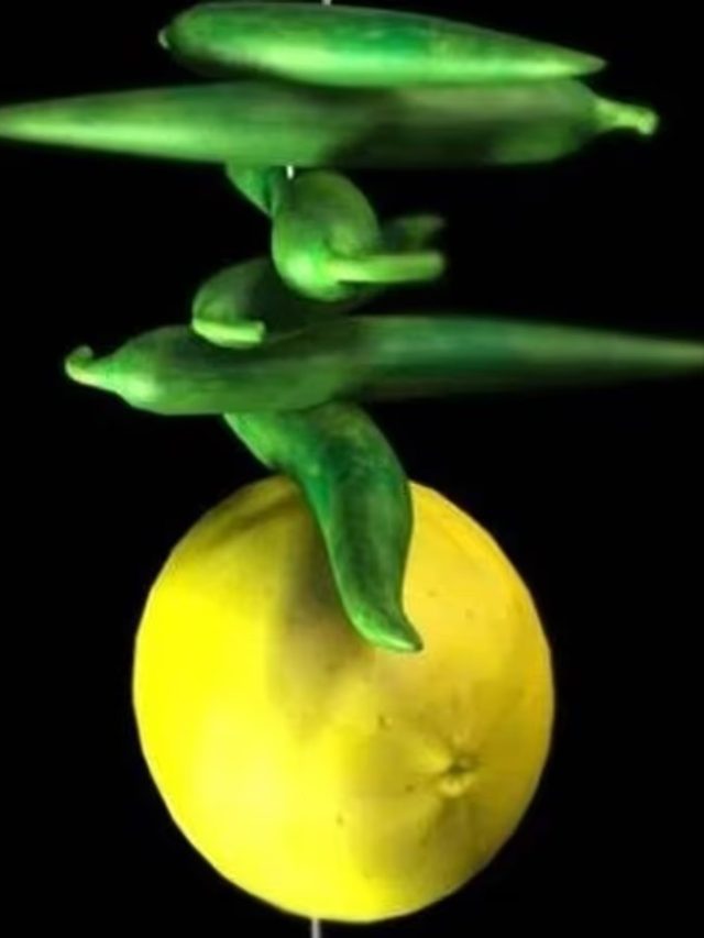 দোকানের সামনে লেবু-লঙ্কা কেন ঝোলানো হয়? জেনে নিন