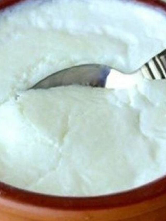 নুন না চিনি, দইয়ে কোনটা মেশানো উচিত, জানুন