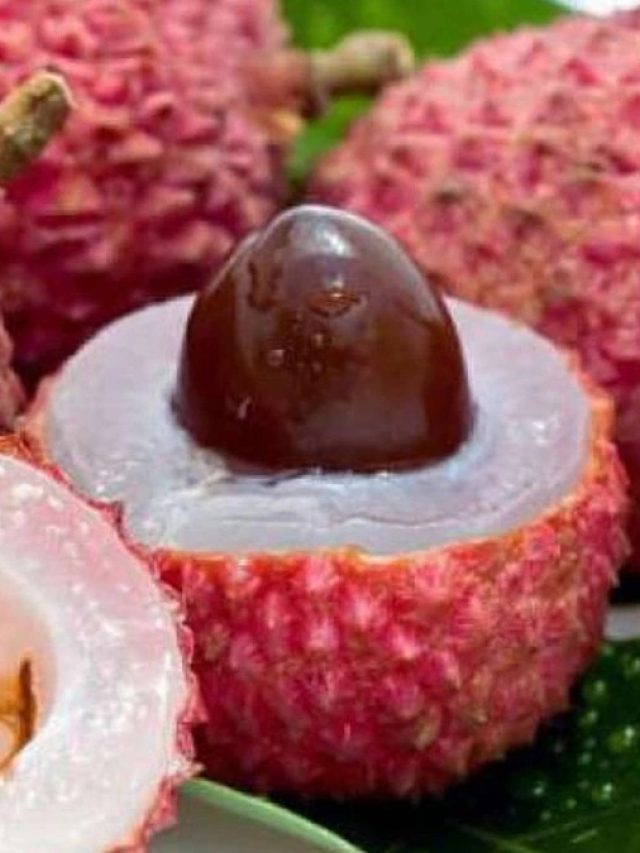 লিচু দিনের কোন সময়ে খেলে দ্বিগুণ উপকার, জানা জরুরি