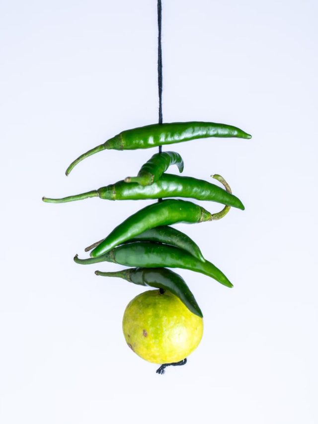 নজর লাগা ঠেকাতে লঙ্কার সঙ্গে পাতিলেবু না গন্ধরাজ, কোনটা ঝোলাবেন? জানুন