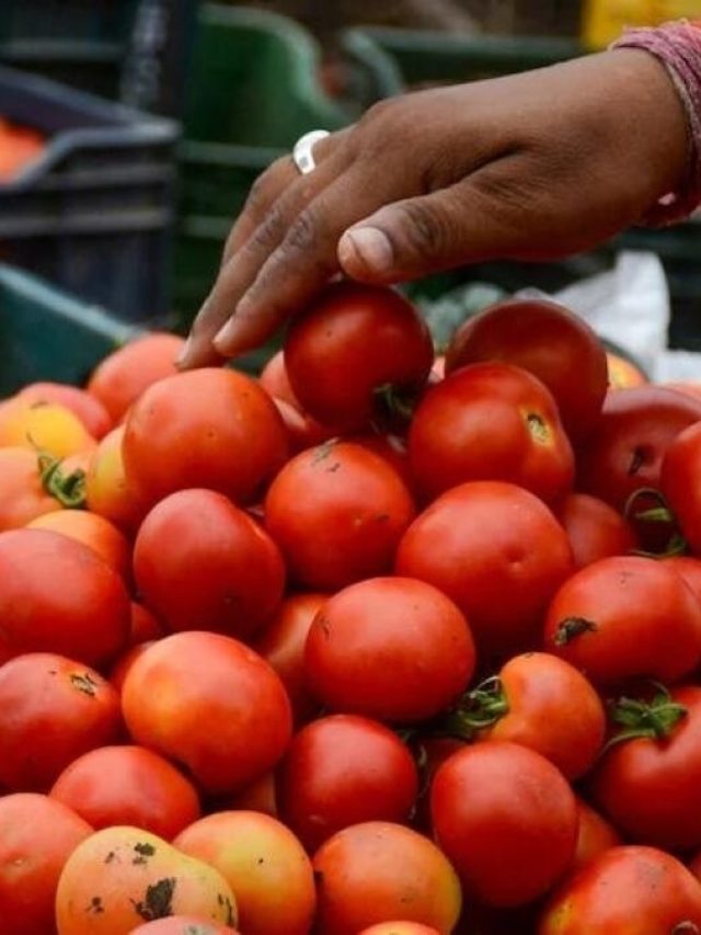 ভেজাল টম্যাটো কিনে ঠকছেন না তো? কীভাবে বুঝবেন