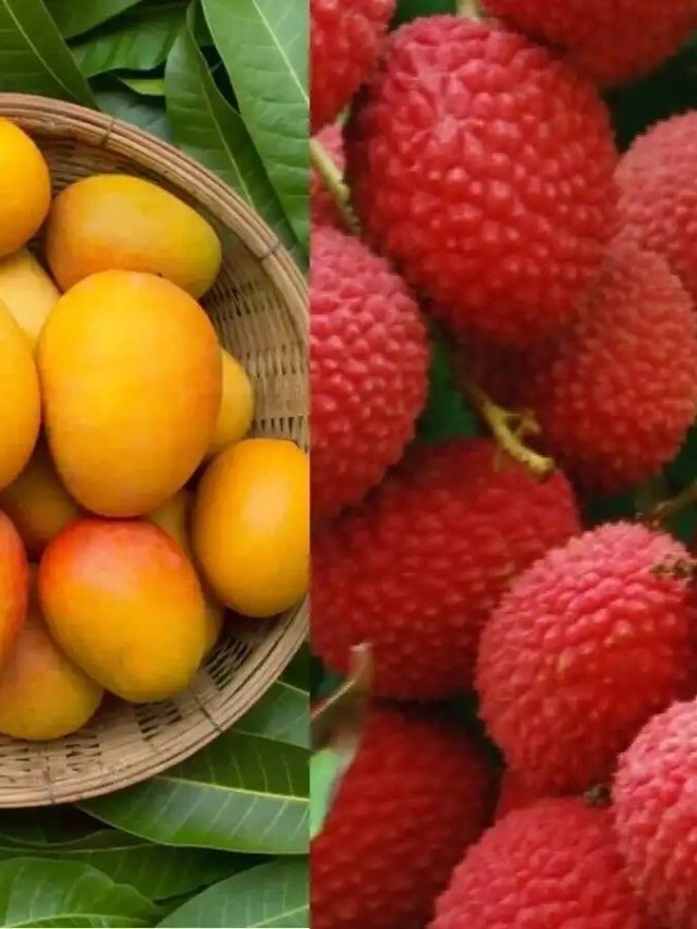 আম-লিচু নয়, এই ফল গরমে খেলেই বেশি উপকার