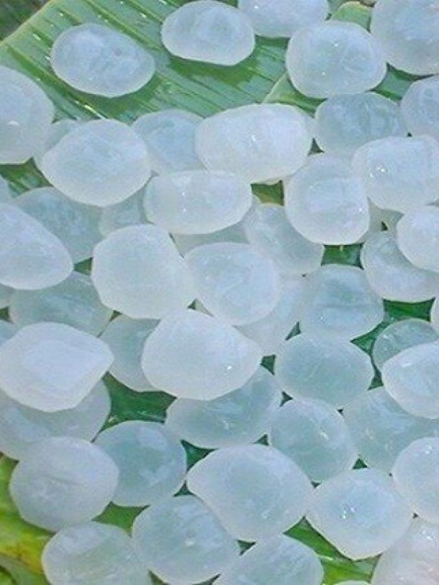 এই বরফ গাছে ধরে, যেমন স্বাদ তেমনই শরীর জুড়োতে জুড়ি মেলা ভার