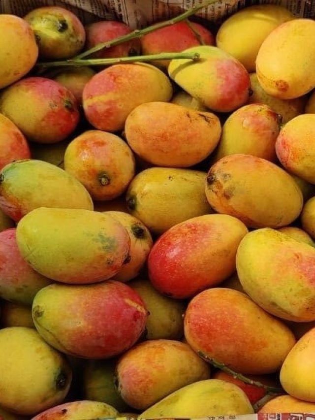 কার্বাইডে পাকানো  আম চিনবেন  কীভাবে?