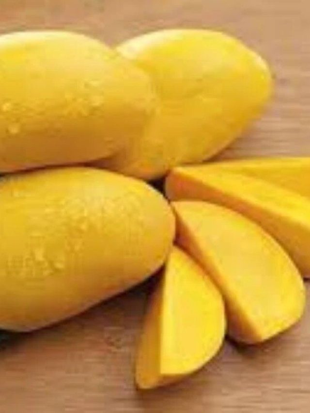 কাঁড়ি কাঁড়ি আম খেলে আমাশা হয়? জানা উচিত