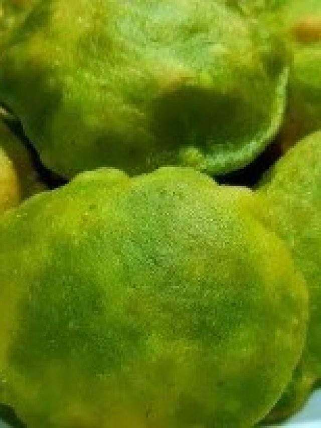 জামাই গপাগপ মুখে তুলবেন, শাকের লুচি খাওয়ালে গ্যাস-অম্বলও হবে না