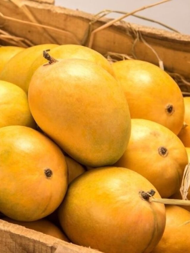 পাকা আম খেলেও সুগার বাড়বে না, কীভাবে?