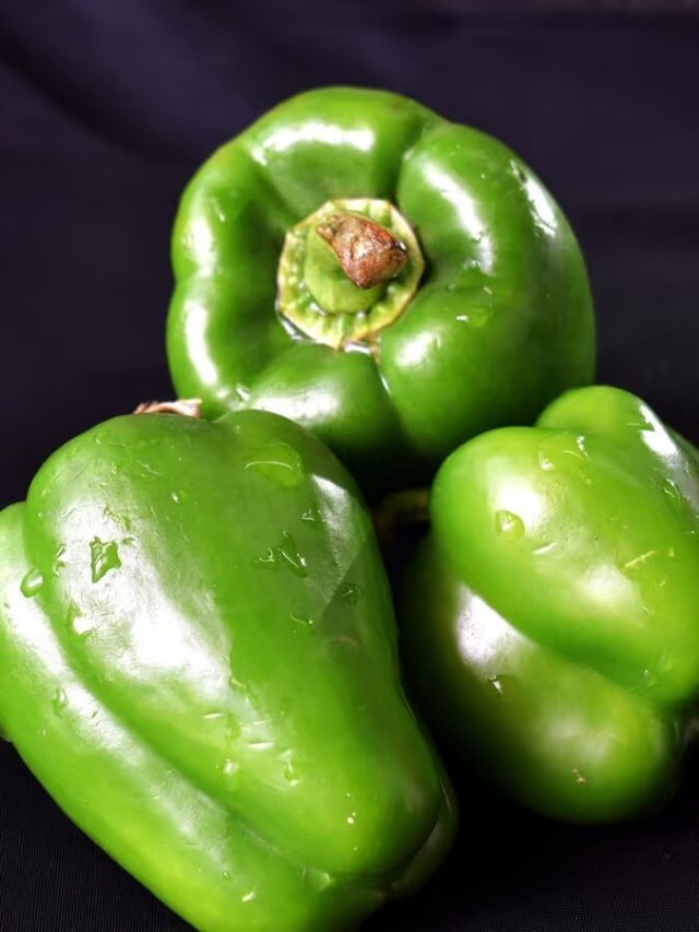 পুরুষ ও স্ত্রী ক্যাপসিকাম চিনবেন কীভাবে? সব্জিওয়ালার টিপস