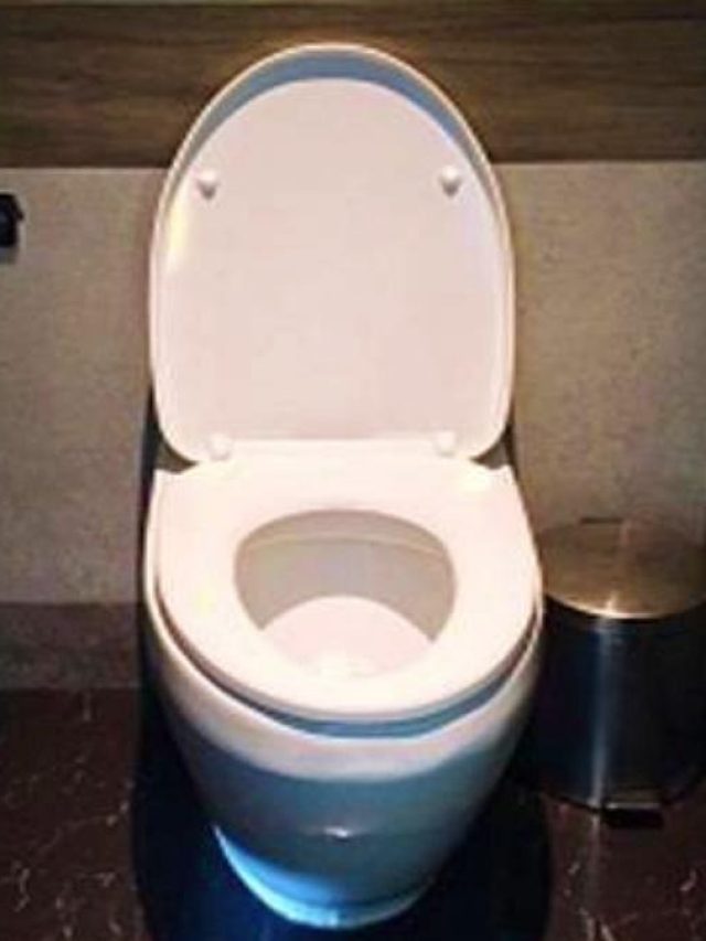 পায়খানা করতে গিয়ে কতক্ষণ কমোডে বসা উচিত, জেনে রাখুন