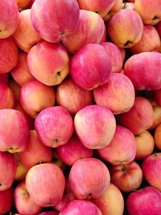 চাঁদিফাটা গরমে আদৌ  আপেল খাওয়া ঠিক? কী হতে পারে?