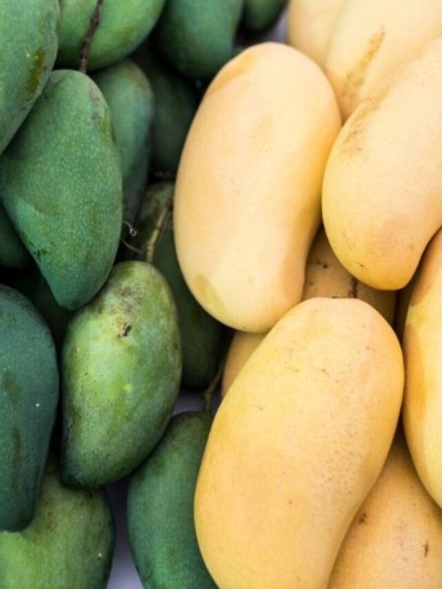 আম গাছপাকা না কার্বাইডে? এই গন্ধ পেলেই বুঝে নিন